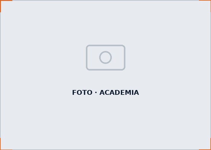 FYDS Academia